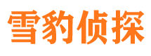 清城市私家侦探